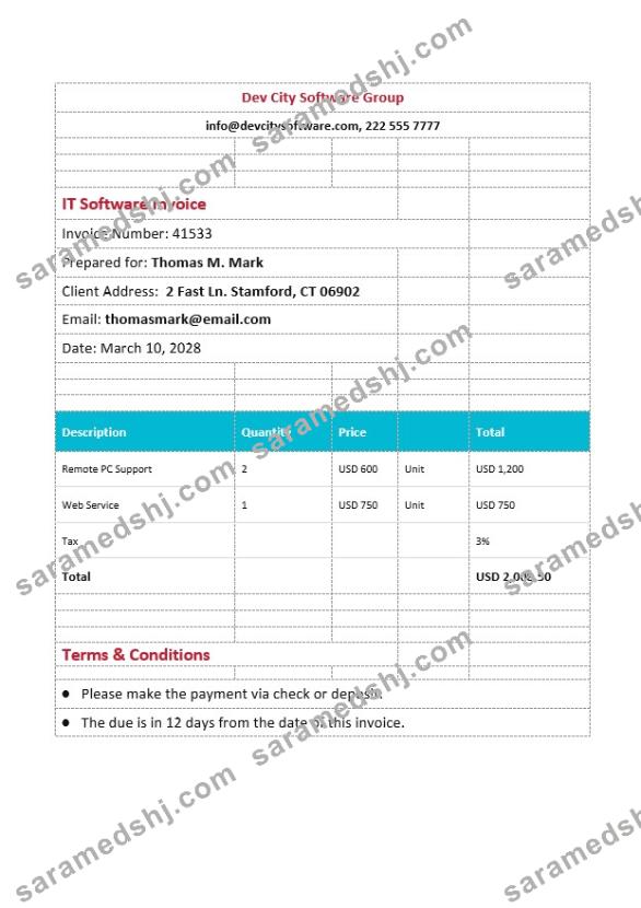 IT Software Invoice Template